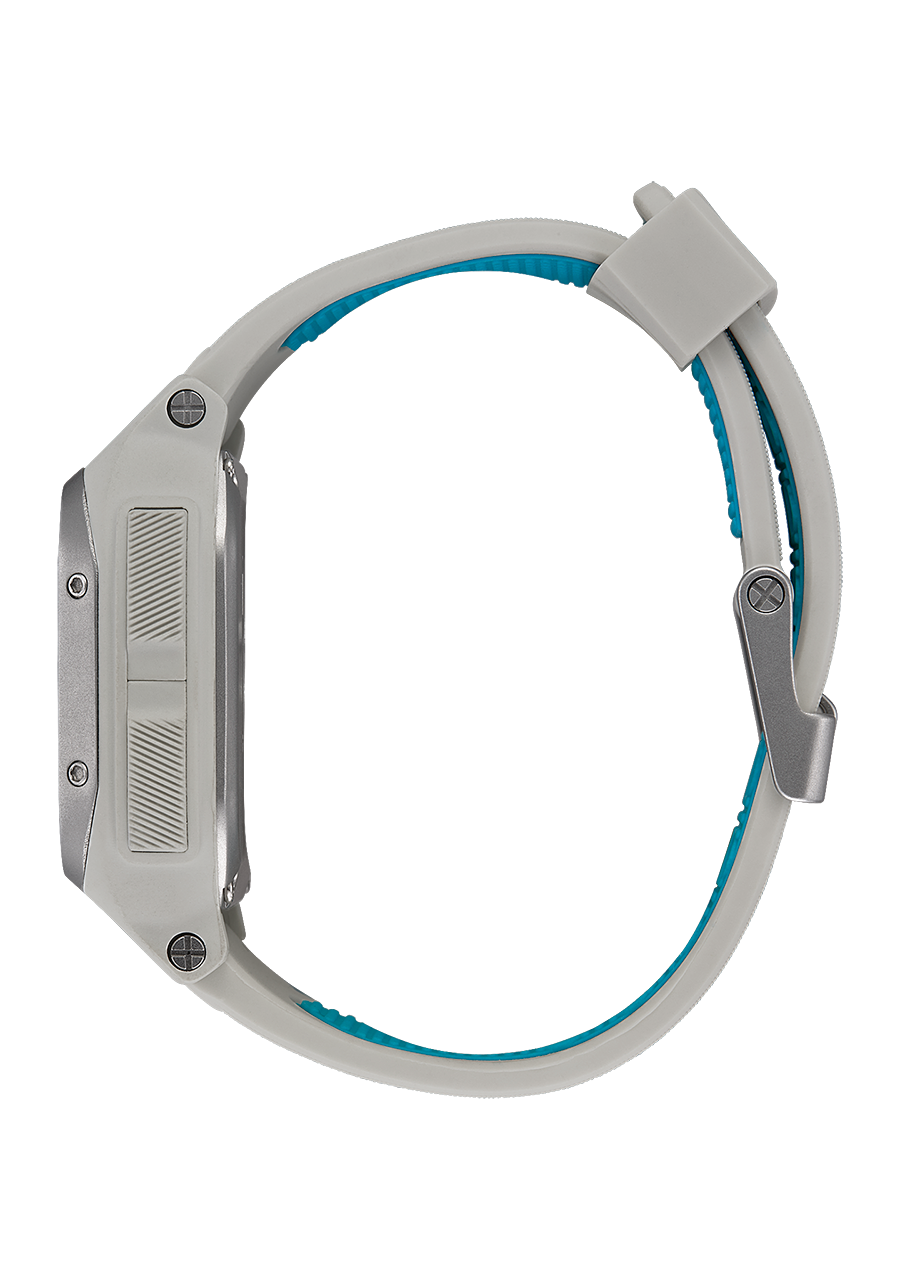 Regulus Expedition - Gray View 2